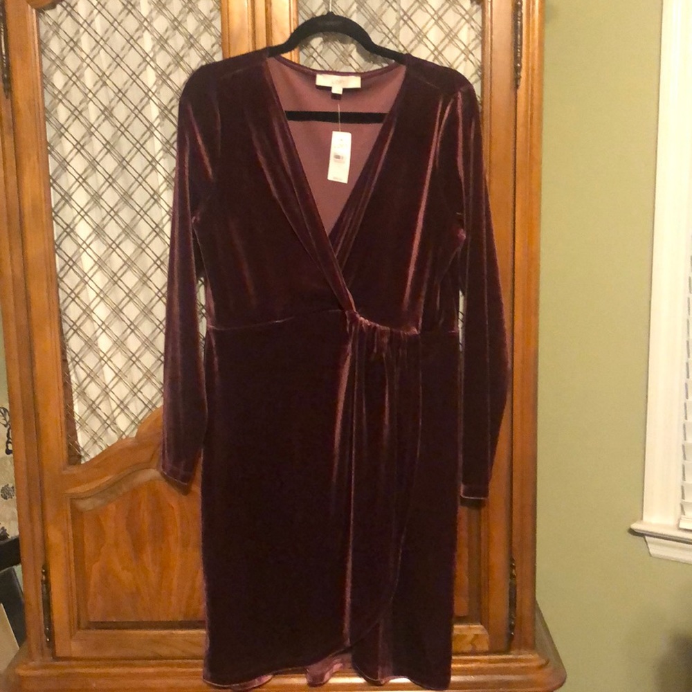 NWT LOFT VELVET LONG SLEEVE DRESS